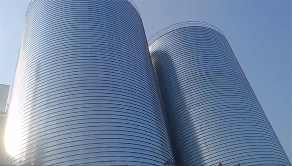 江山2座混凝土高架卷板仓